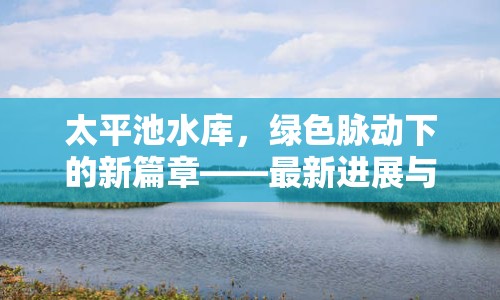 太平池水庫，綠色脈動(dòng)下的新篇章——最新進(jìn)展與生態(tài)保護(hù)探索