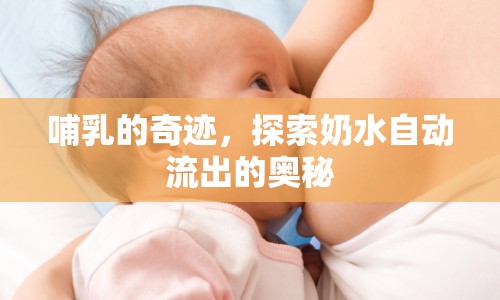 哺乳的奇跡，探索奶水自動(dòng)流出的奧秘