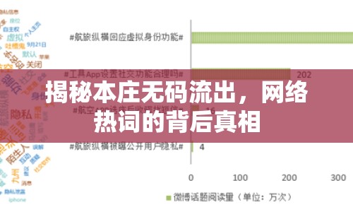 揭秘本莊無碼流出，網(wǎng)絡(luò)熱詞的背后真相