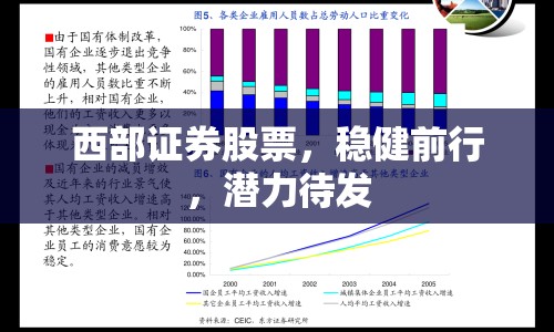 西部證券股票，穩(wěn)健前行，潛力待發(fā)