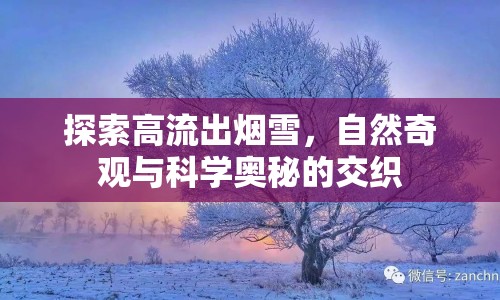 探索高流出煙雪，自然奇觀與科學(xué)奧秘的交織