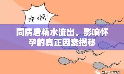 同房后精水流出，影響懷孕的真正因素揭秘