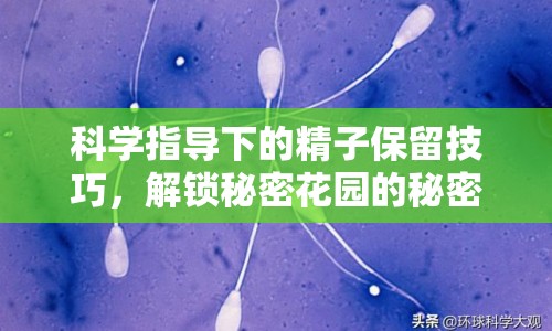 科學指導下的精子保留技巧，解鎖秘密花園的秘密