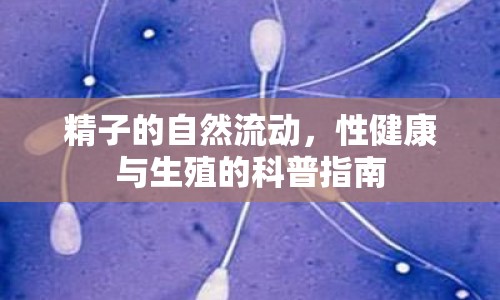 精子的自然流動(dòng)，性健康與生殖的科普指南