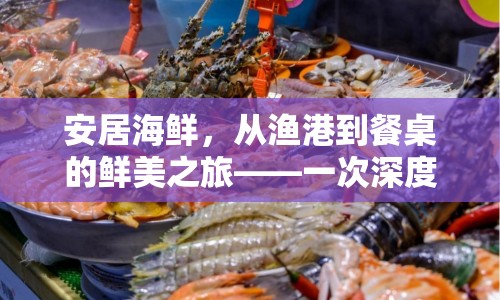 安居海鮮，從漁港到餐桌的鮮美之旅——一次深度曝光與美食探索