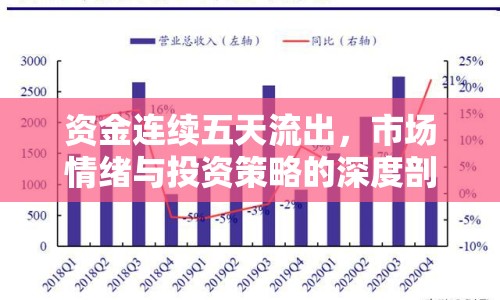 資金連續(xù)五天流出，市場(chǎng)情緒與投資策略的深度剖析