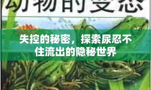 失控的秘密，探索尿忍不住流出的隱秘世界