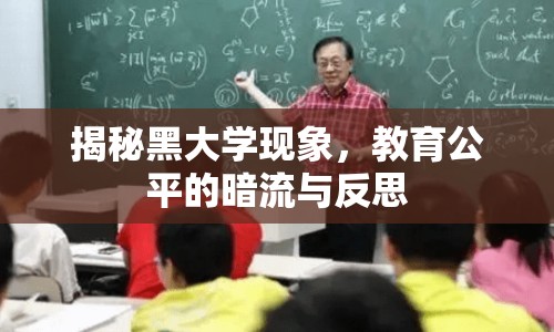 揭秘黑大學(xué)現(xiàn)象，教育公平的暗流與反思