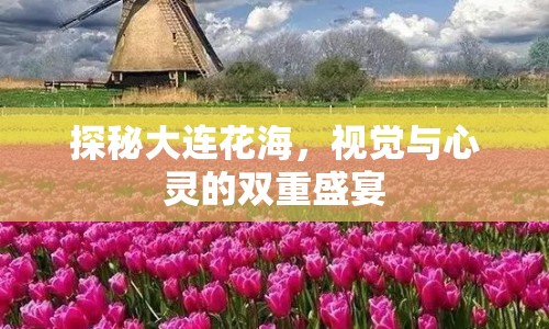 探秘大連花海，視覺與心靈的雙重盛宴