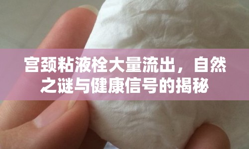 宮頸粘液栓大量流出，自然之謎與健康信號(hào)的揭秘