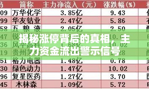 揭秘漲停背后的真相，主力資金流出警示信號