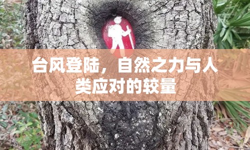 臺風登陸，自然之力與人類應(yīng)對的較量