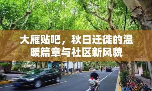 大雁貼吧，秋日遷徙的溫暖篇章與社區(qū)新風(fēng)貌