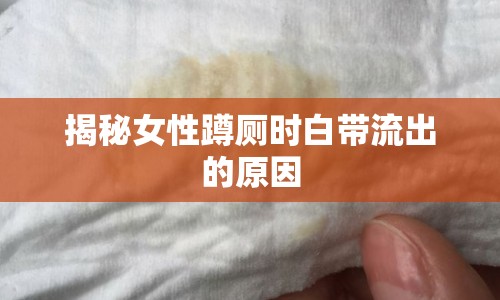 揭秘女性蹲廁時白帶流出的原因