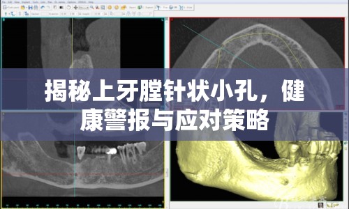 揭秘上牙膛針狀小孔，健康警報與應對策略