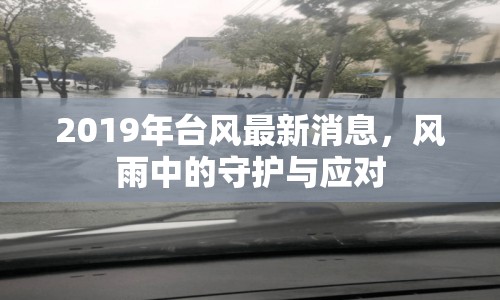 2019年臺風最新消息，風雨中的守護與應對