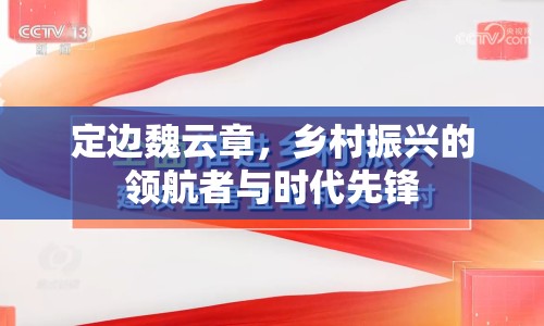 定邊魏云章，鄉(xiāng)村振興的領(lǐng)航者與時(shí)代先鋒