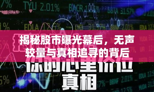 揭秘股市曝光幕后，無聲較量與真相追尋的背后