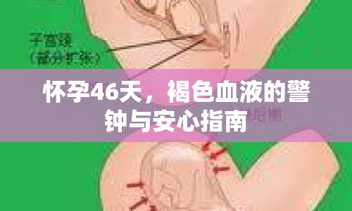 懷孕46天，褐色血液的警鐘與安心指南