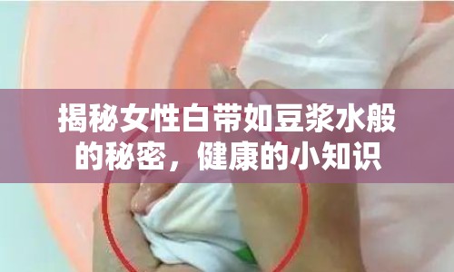 揭秘女性白帶如豆?jié){水般的秘密，健康的小知識(shí)