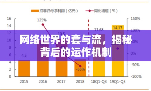 網(wǎng)絡(luò)世界的套與流，揭秘背后的運(yùn)作機(jī)制