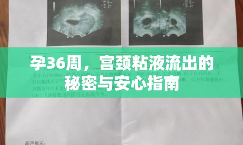 孕36周，宮頸粘液流出的秘密與安心指南