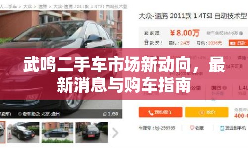 武鳴二手車市場新動向，最新消息與購車指南