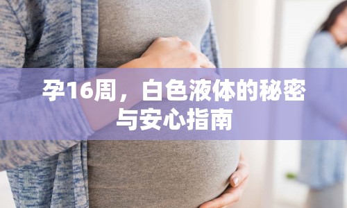 孕16周，白色液體的秘密與安心指南