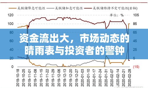 資金流出大，市場動態(tài)的晴雨表與投資者的警鐘