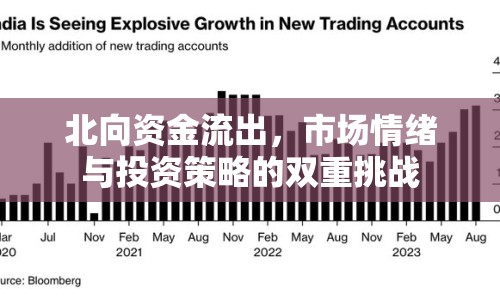 北向資金流出，市場情緒與投資策略的雙重挑戰(zhàn)