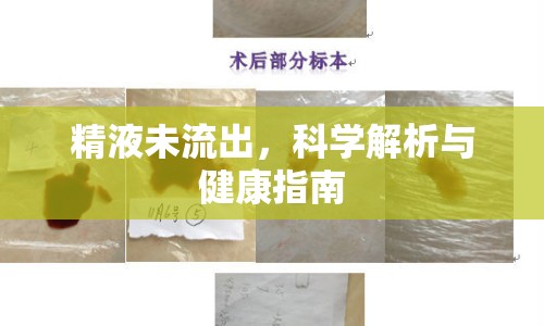 精液未流出，科學解析與健康指南