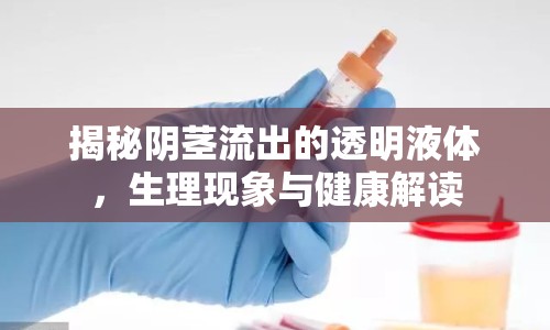 揭秘陰莖流出的透明液體，生理現(xiàn)象與健康解讀