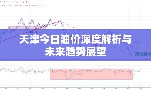 天津今日油價(jià)深度解析與未來(lái)趨勢(shì)展望