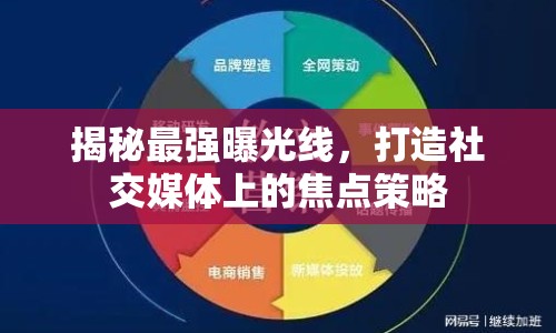 揭秘最強曝光線，打造社交媒體上的焦點策略