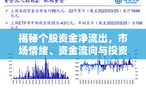 揭秘個股資金凈流出，市場情緒、資金流向與投資策略的深度剖析