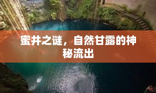 蜜井之謎，自然甘露的神秘流出