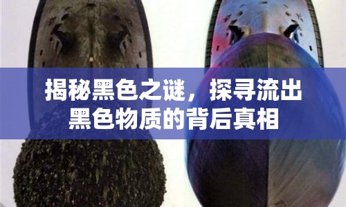 揭秘黑色之謎，探尋流出黑色物質(zhì)的背后真相