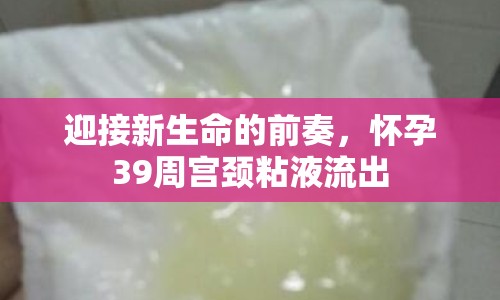 迎接新生命的前奏，懷孕39周宮頸粘液流出