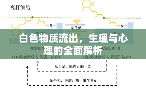 白色物質(zhì)流出，生理與心理的全面解析