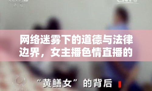 網絡迷霧下的道德與法律邊界，女主播色情直播的倫理探討