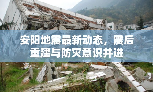 安陽地震最新動態(tài)，震后重建與防災意識并進