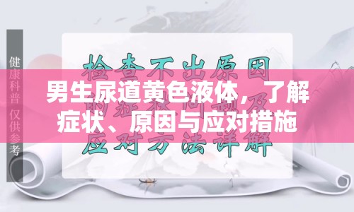 男生尿道黃色液體，了解癥狀、原因與應對措施