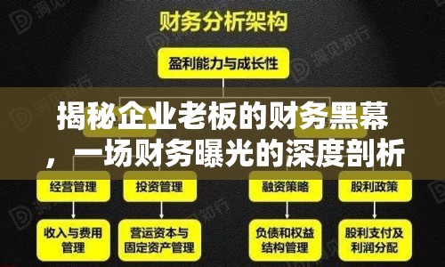 揭秘企業(yè)老板的財務黑幕，一場財務曝光的深度剖析