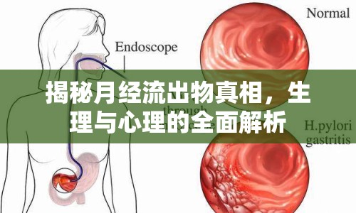 揭秘月經(jīng)流出物真相，生理與心理的全面解析