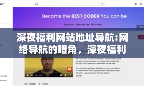 深夜福利網(wǎng)站地址導航:網(wǎng)絡(luò)導航的暗角，深夜福利網(wǎng)站地址的灰色邊緣