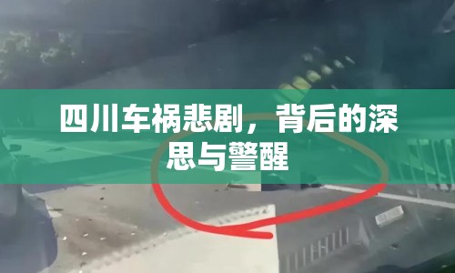 四川車(chē)禍悲劇，背后的深思與警醒