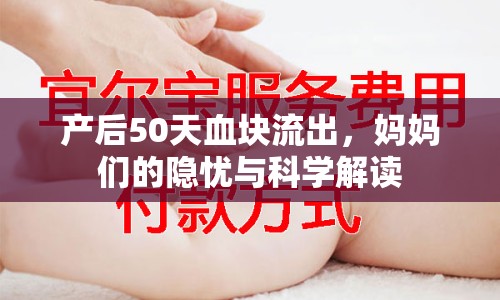 產后50天血塊流出，媽媽們的隱憂與科學解讀