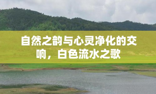 自然之韻與心靈凈化的交響，白色流水之歌