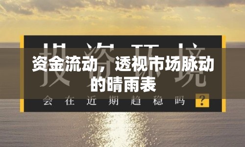 資金流動，透視市場脈動的晴雨表