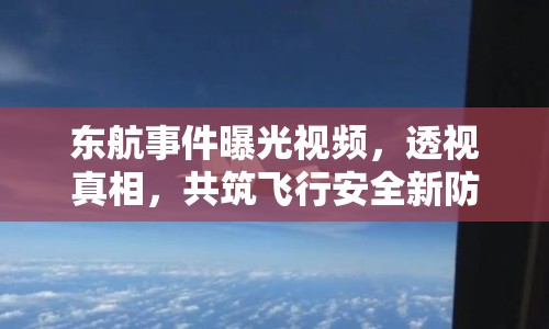 東航事件曝光視頻，透視真相，共筑飛行安全新防線